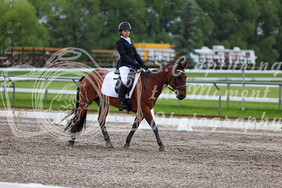 2025 - Dressage Festival - Sunday July 6th - 05563