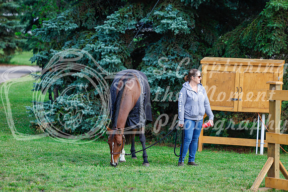 2025 - Haylee - Picco Horse Show - Saturday July 26th 00026