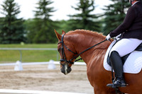 2025 - Dressage Festival - Saturday July 5th - 09306