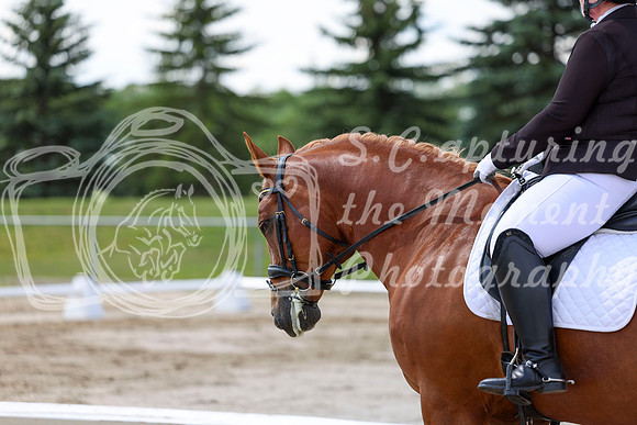 2025 - Dressage Festival - Saturday July 5th - 09306