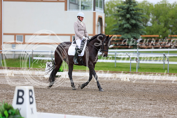 2025 - Dressage Festival - Sunday July 6th - 10445