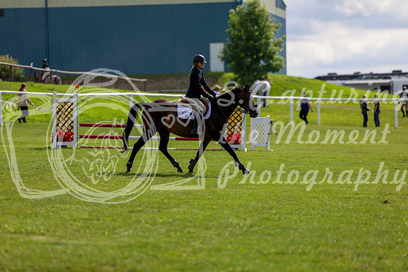 2025 - Shea - Teesdale - Friday July 25th - 04432