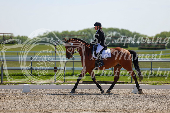 2025 - Dressage Festival - Saturday July 5th - 04340