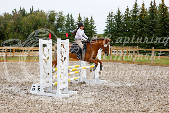 2025 - Haylee - Picco Horse Show - Friay July 25th 01665