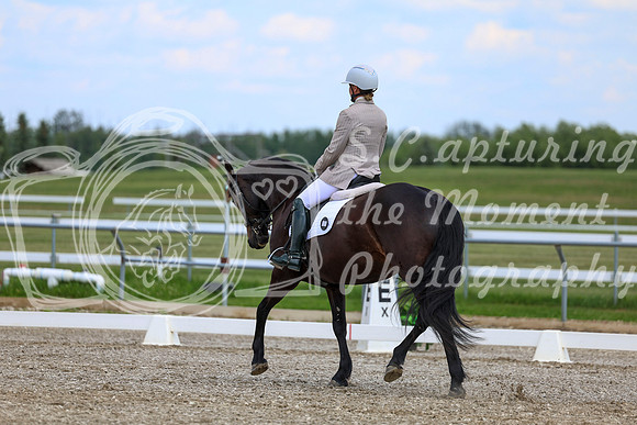 2025 - Dressage Festival - Saturday July 5th - 10694