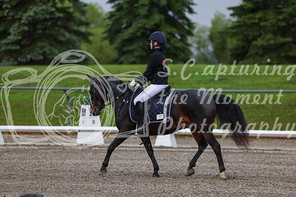 2025 - Dressage Festival - Sunday July 6th - 00022