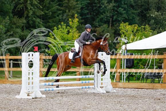 2025 - Haylee - Picco Horse Show - Sunday July 27th 01842