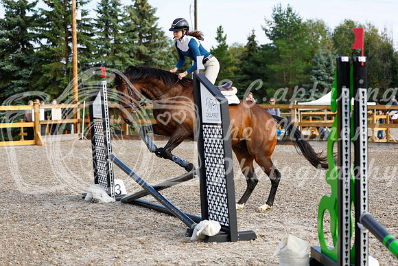 2025 - Haylee - Picco Horse Show - Saturday July 26th 00187