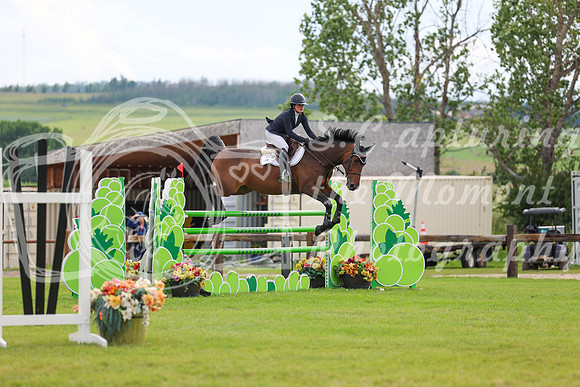 2025 - Shea - Mid Summer Classic II - Friday July 18th - 17722