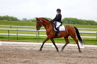 2025 - Dressage Festival - Sunday July 6th - 05038
