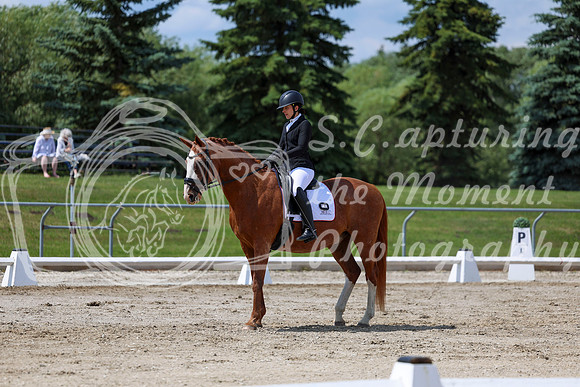 2025 - Dressage Festival - Saturday July 5th - 10080