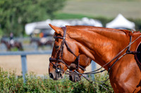 2025 - Haylee - Rocky Mountain Classic III - Saturday August 23rd - 06383