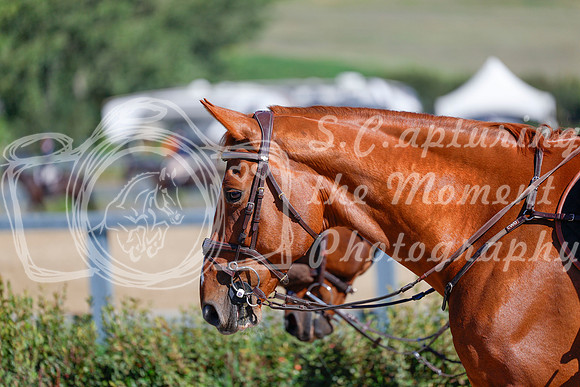 2025 - Haylee - Rocky Mountain Classic III - Saturday August 23rd - 06383