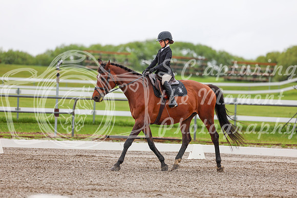 2025 - Dressage Festival - Sunday July 6th - 01837