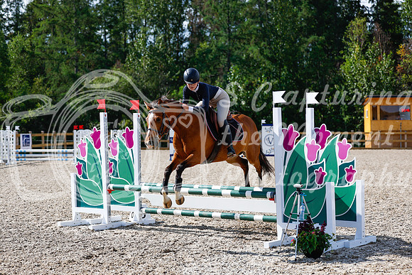 2025 - Haylee - Picco Horse Show - Thursday July 24th 01052