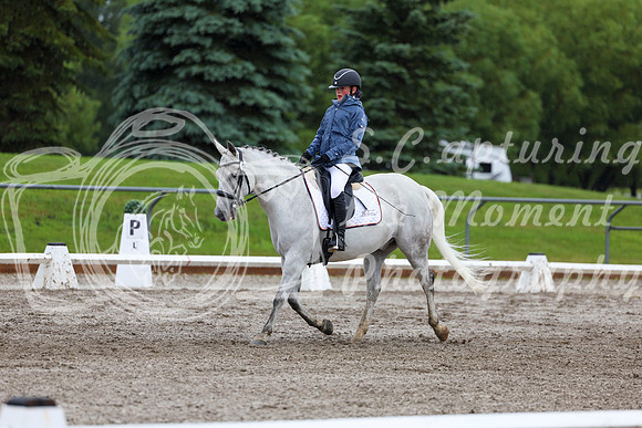 2025 - Dressage Festival - Sunday July 6th - 04830