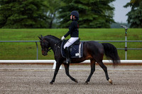 2025 - Dressage Festival - Sunday July 6th - 00015