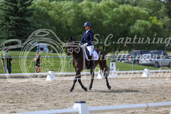 2025 - Dressage Festival - Saturday July 5th - 14786