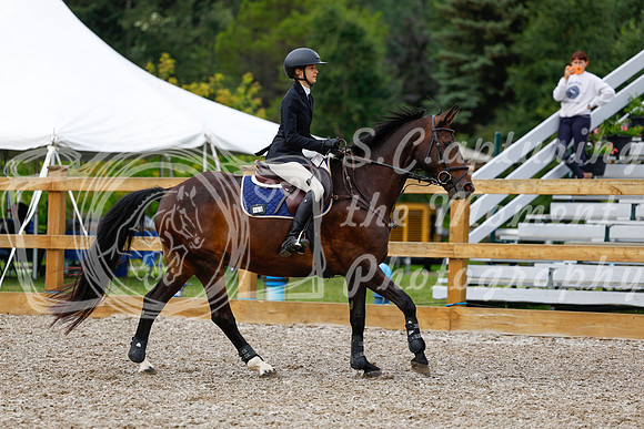 2025 - Haylee - Picco Horse Show - Saturday July 26th 01955