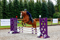 2025 - Haylee - Picco Horse Show - Sunday July 27th 01927