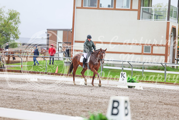 2025 - Dressage Festival - Sunday July 6th - 03625