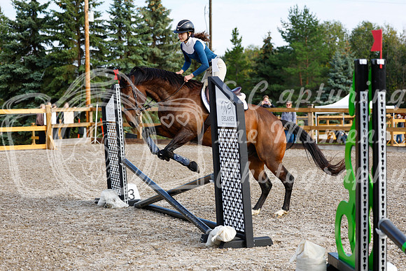 2025 - Haylee - Picco Horse Show - Saturday July 26th 00188