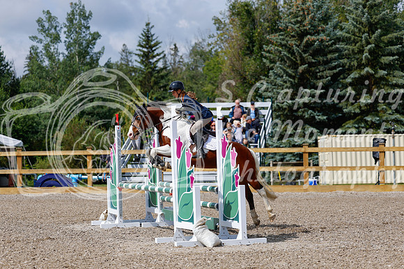 2025 - Haylee - Picco Horse Show - Sunday July 27th 02468