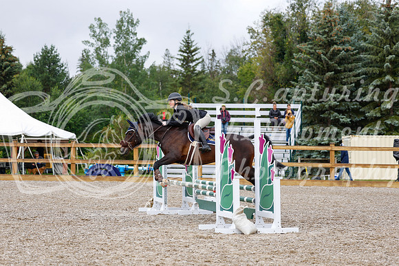 2025 - Haylee - Picco Horse Show - Sunday July 27th 01037