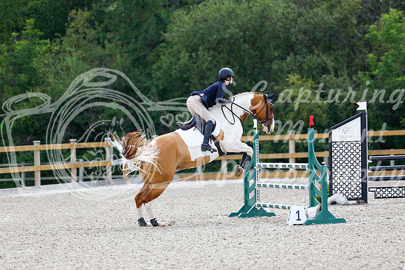 2025 - Haylee - Picco Horse Show - Sunday July 27th 04359