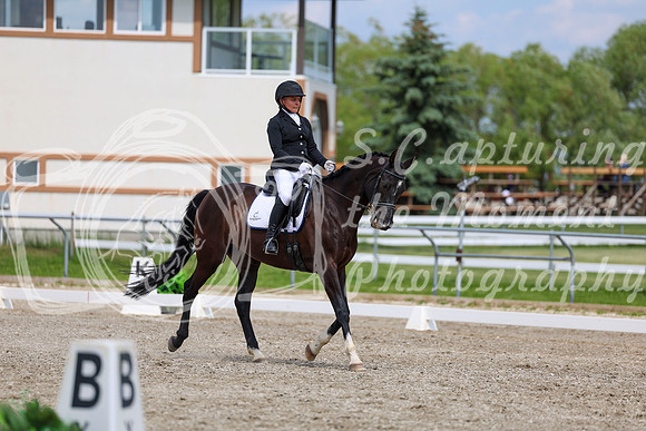 2025 - Dressage Festival - Saturday July 5th - 11398