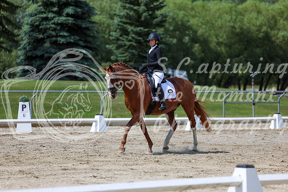 2025 - Dressage Festival - Saturday July 5th - 10072