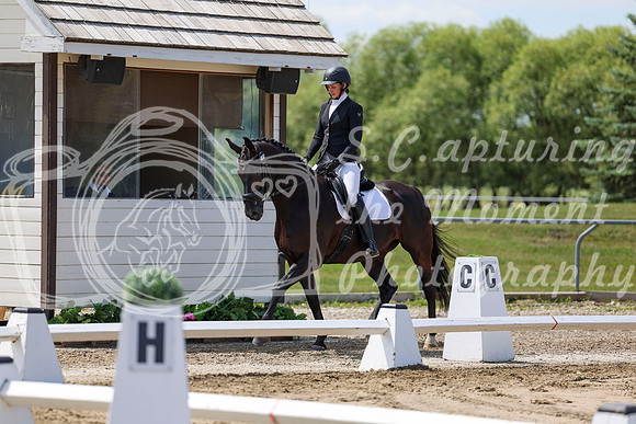 2025 - Dressage Festival - Saturday July 5th - 06955