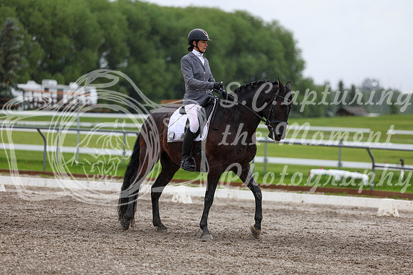 2025 - Dressage Festival - Sunday July 6th - 06987