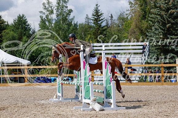 2025 - Haylee - Picco Horse Show - Sunday July 27th 03162