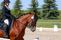 2025 - Dressage Festival - Saturday July 5th - 01864