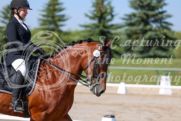 2025 - Dressage Festival - Saturday July 5th - 01864
