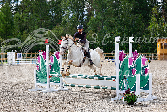 2025 - Haylee - Picco Horse Show - Thursday July 24th 01439