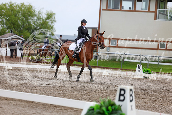2025 - Dressage Festival - Sunday July 6th - 04997