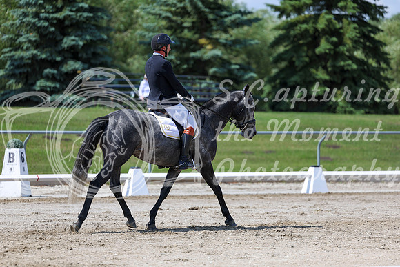 2025 - Dressage Festival - Saturday July 5th - 09038