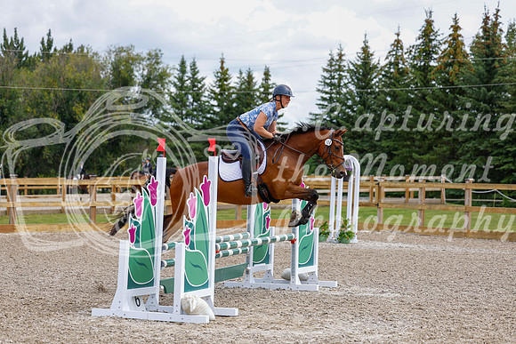 2025 - Haylee - Picco Horse Show - Saturday July 26th 03852
