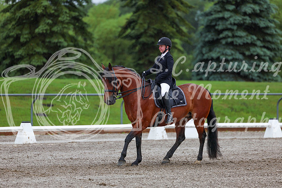 2025 - Dressage Festival - Sunday July 6th - 01070