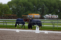 2025 - Dressage Festival - Sunday July 6th - 00154