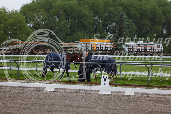 2025 - Dressage Festival - Sunday July 6th - 00154