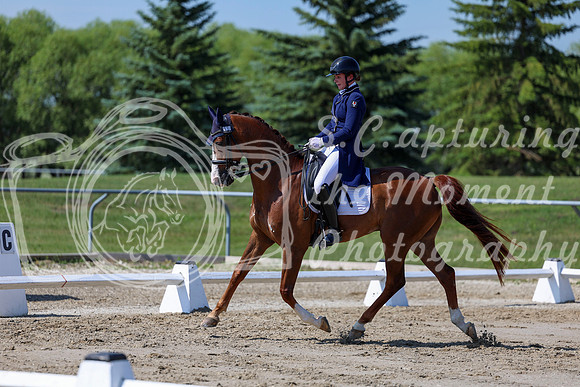 2025 - Dressage Festival - Saturday July 5th - 04274