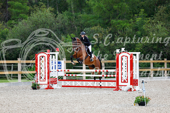 2025 - Haylee - Picco Horse Show - Sunday July 27th 04538