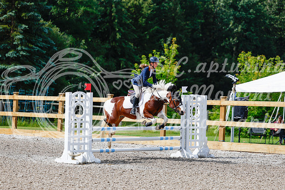 2025 - Haylee - Picco Horse Show - Sunday July 27th 02475