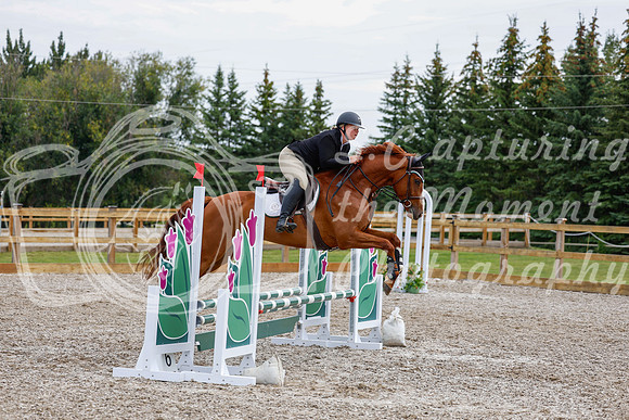 2025 - Haylee - Picco Horse Show - Saturday July 26th 02654