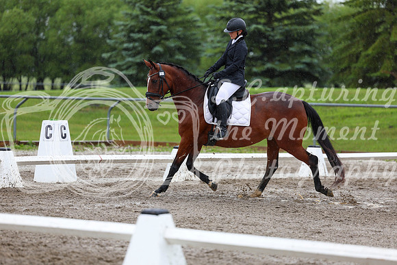 2025 - Dressage Festival - Sunday July 6th - 07822