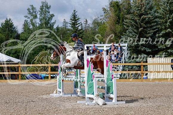 2025 - Haylee - Picco Horse Show - Sunday July 27th 02472