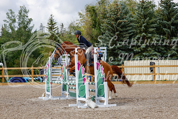 2025 - Haylee - Picco Horse Show - Sunday July 27th 02675